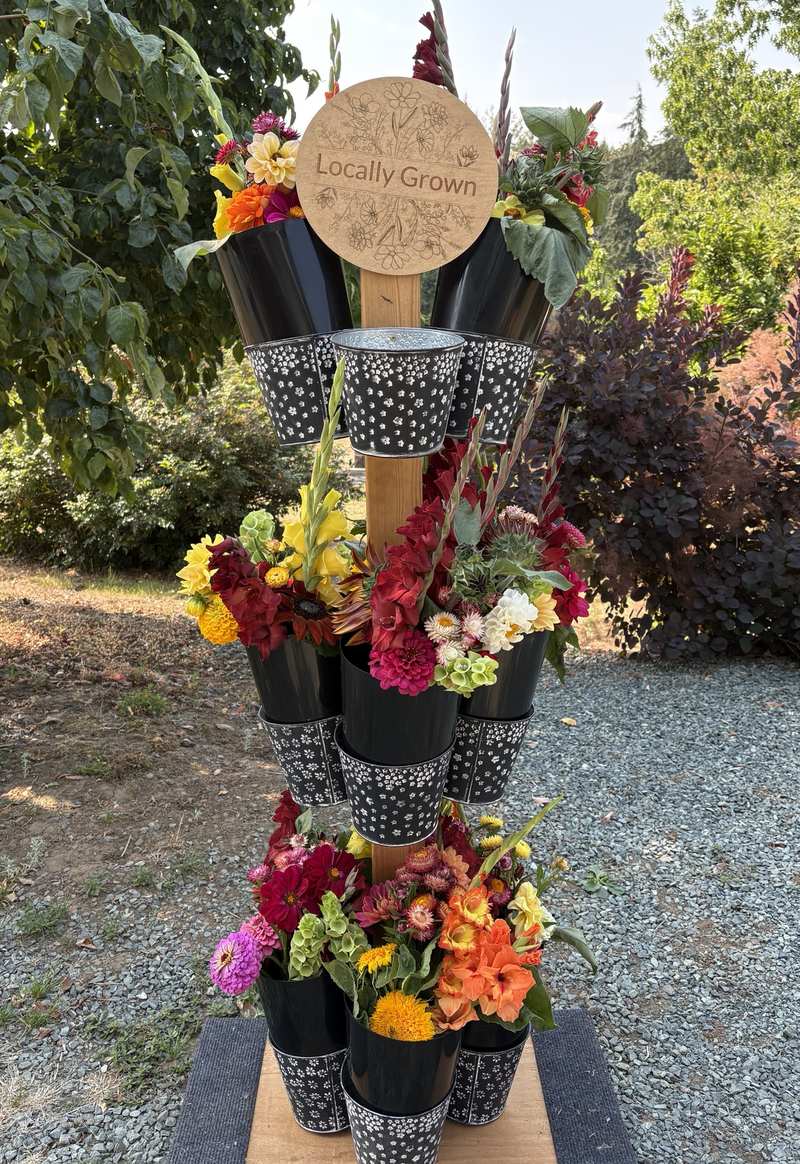 The self-serve cut flower stand: tiers of black tins full of zinnias, dahlias, gladiolus and strawflowers under a Locally Grown sign.