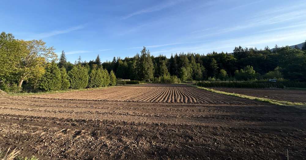 The field freshly tilled in spring.